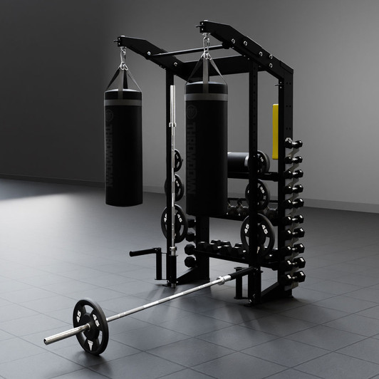 Throwdown Alpha XTC Functional Strength Station