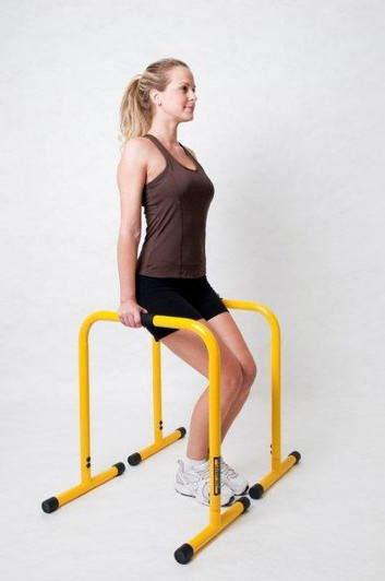 Leg Supported Dips on the Lebert Fitness Equalizer Bars