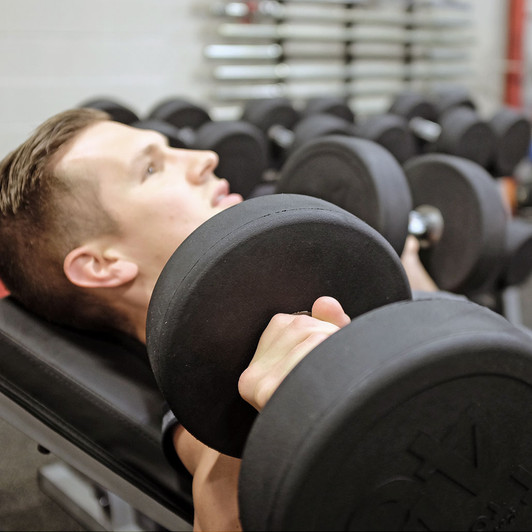 Premium Round Rubber Dumbbells