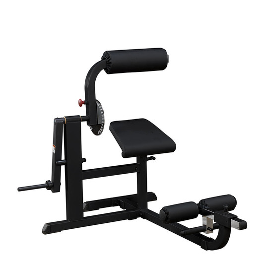 Body-Solid Dual Ab and Back Machine