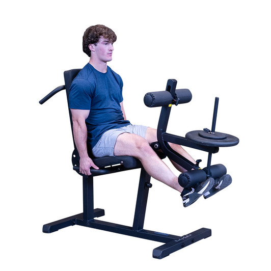 Body-Solid Leg Extension and Curl Machine