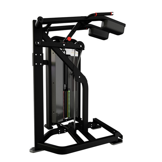 Nautilus Impact Standing Calf