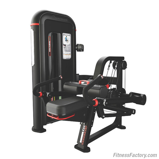 Nautilus Inspiration Tricep Dip