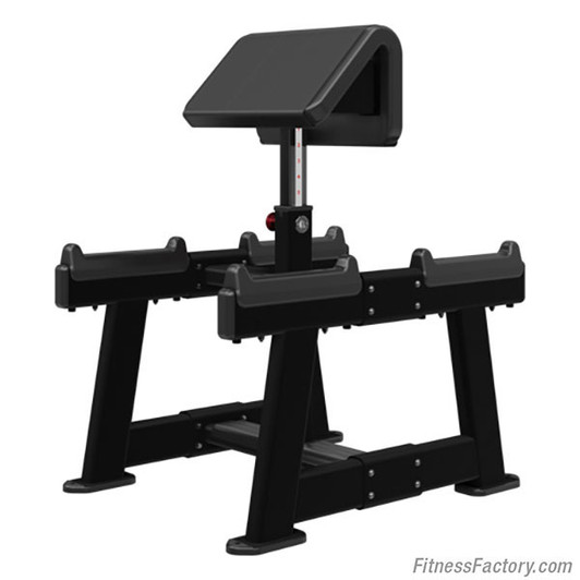 Nautilus Inspiration Standing Preacher Curl