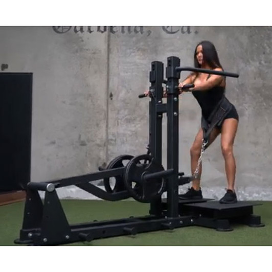 Belt Squat by the Abs Company