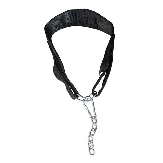 Body-Solid Tools SPRBSB Belt Squat Belt